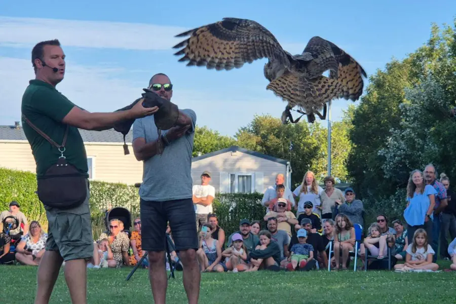 Roogvogelshow 1