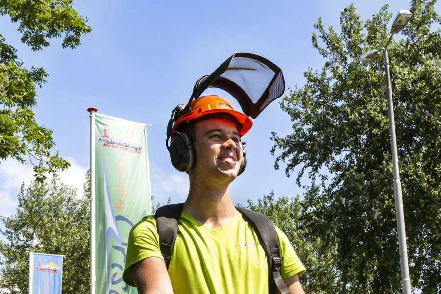Sjoerd bosmaaier