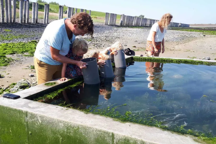 Getijdenbak Dijkhuisje NP Oosterschelde